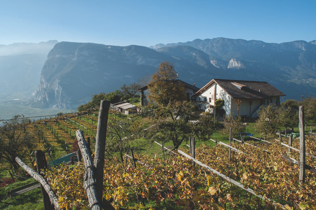 Crozzol Hof Buchholz Stiftung Steinkeller Bauernhof Südtirol