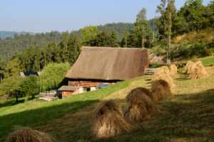 Duregg Hof Afing Stiftung Steinkeller Strohdach Sanierung Südtirol Bauernhof
