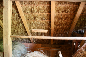 Duregg Hof Afing Stiftung Steinkeller Strohdach Sanierung Südtirol Bauernhof
