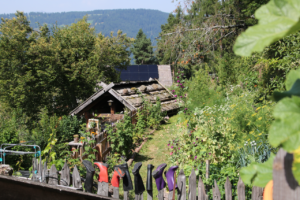 Duregg Hof Afing Stiftung Steinkeller Strohdach Sanierung Südtirol Bauernhof