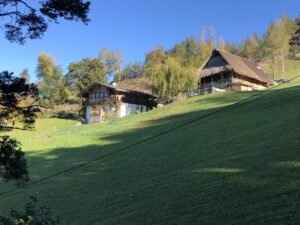 Duregg Hof Afing Stiftung Steinkeller Strohdach Sanierung Südtirol Bauernhof