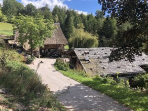 Duregg Hof Afing Stiftung Steinkeller Strohdach Sanierung Südtirol Bauernhof